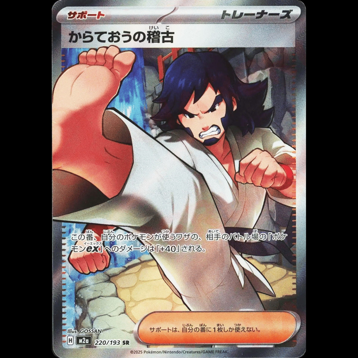 Black Belt's Training - MEGA Dream ex #220/193 - Super Rare