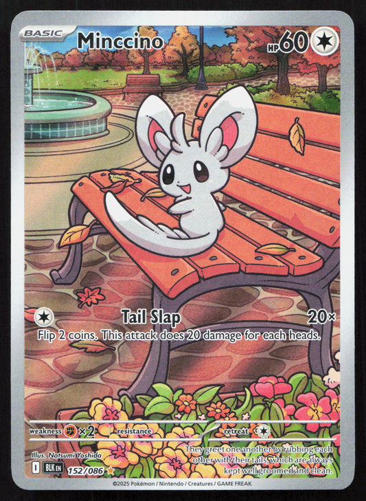 Minccino - Black Bolt #152/086 - Illustration Rare
