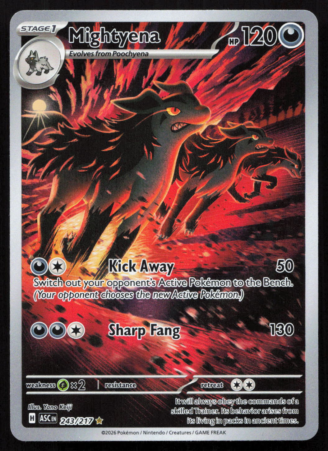 Mightyena - Ascended Heroes #243/217 - Illustration Rare