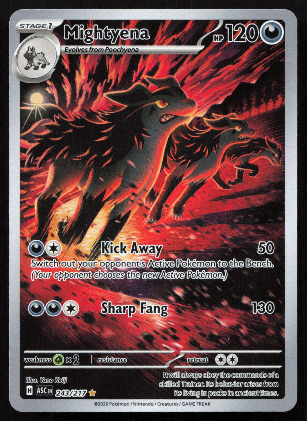 Mightyena - Ascended Heroes #243/217 - Illustration Rare
