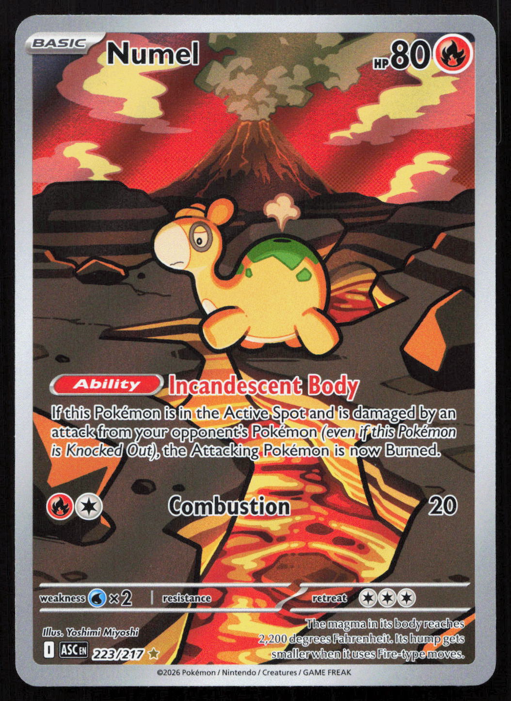 Numel - Ascended Heroes #223/217 - Illustration Rare