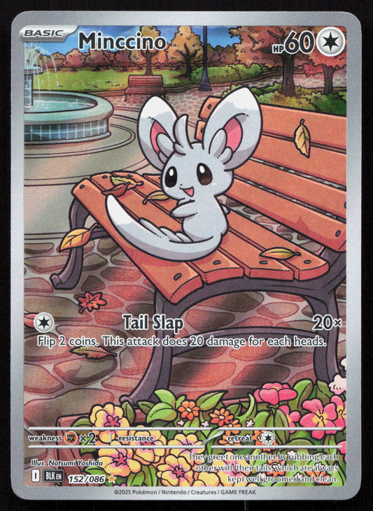 Minccino - Black Bolt #152/086 - Illustration Rare