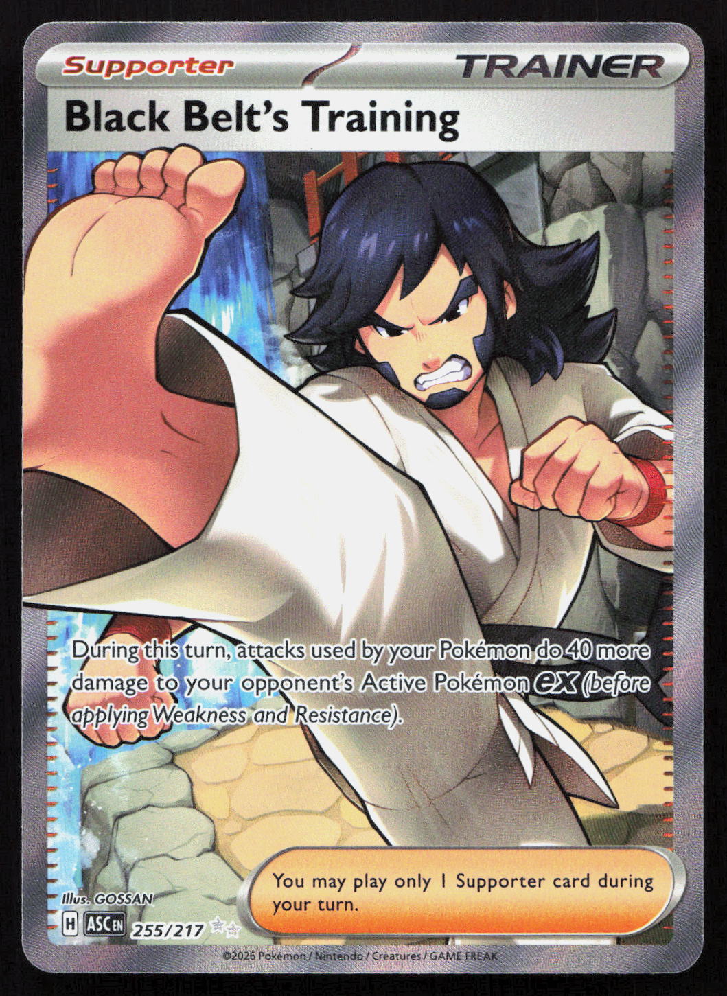 Black Belt's Training - Ascended Heroes #255/217 - Ultra Rare
