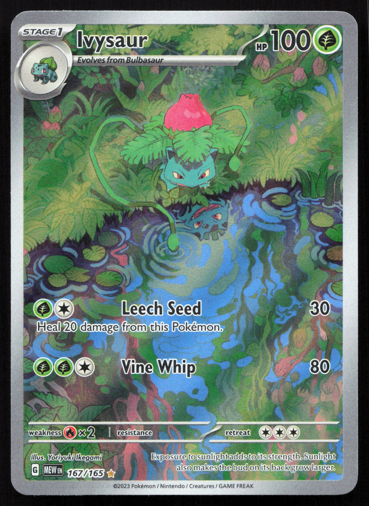 Ivysaur - 151 #167/165 - Illustration Rare